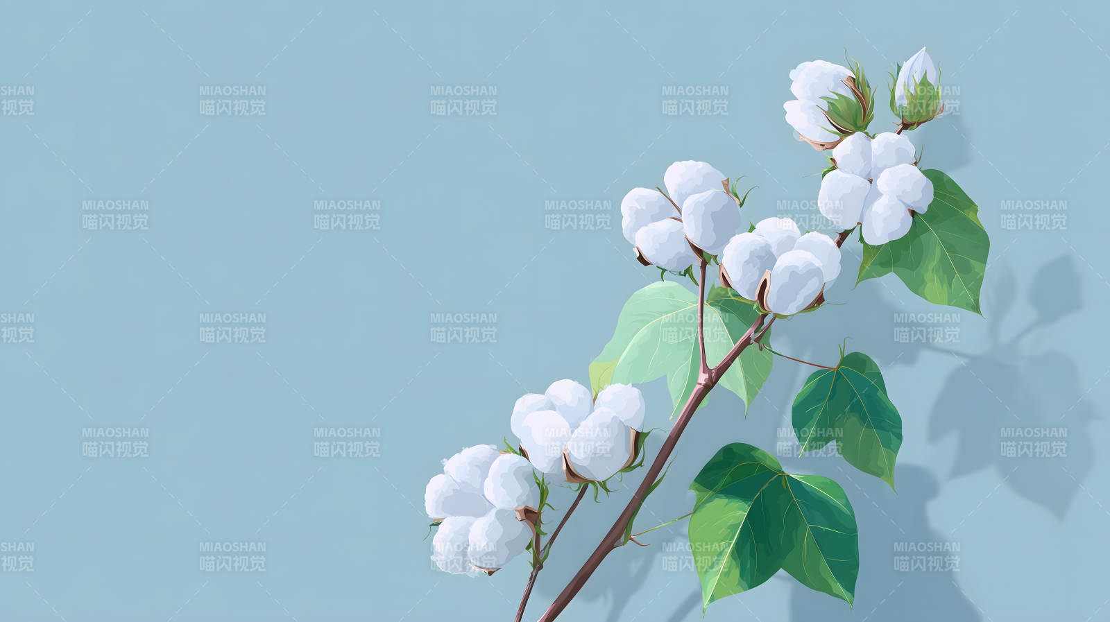 棉花枝叶特写-图片