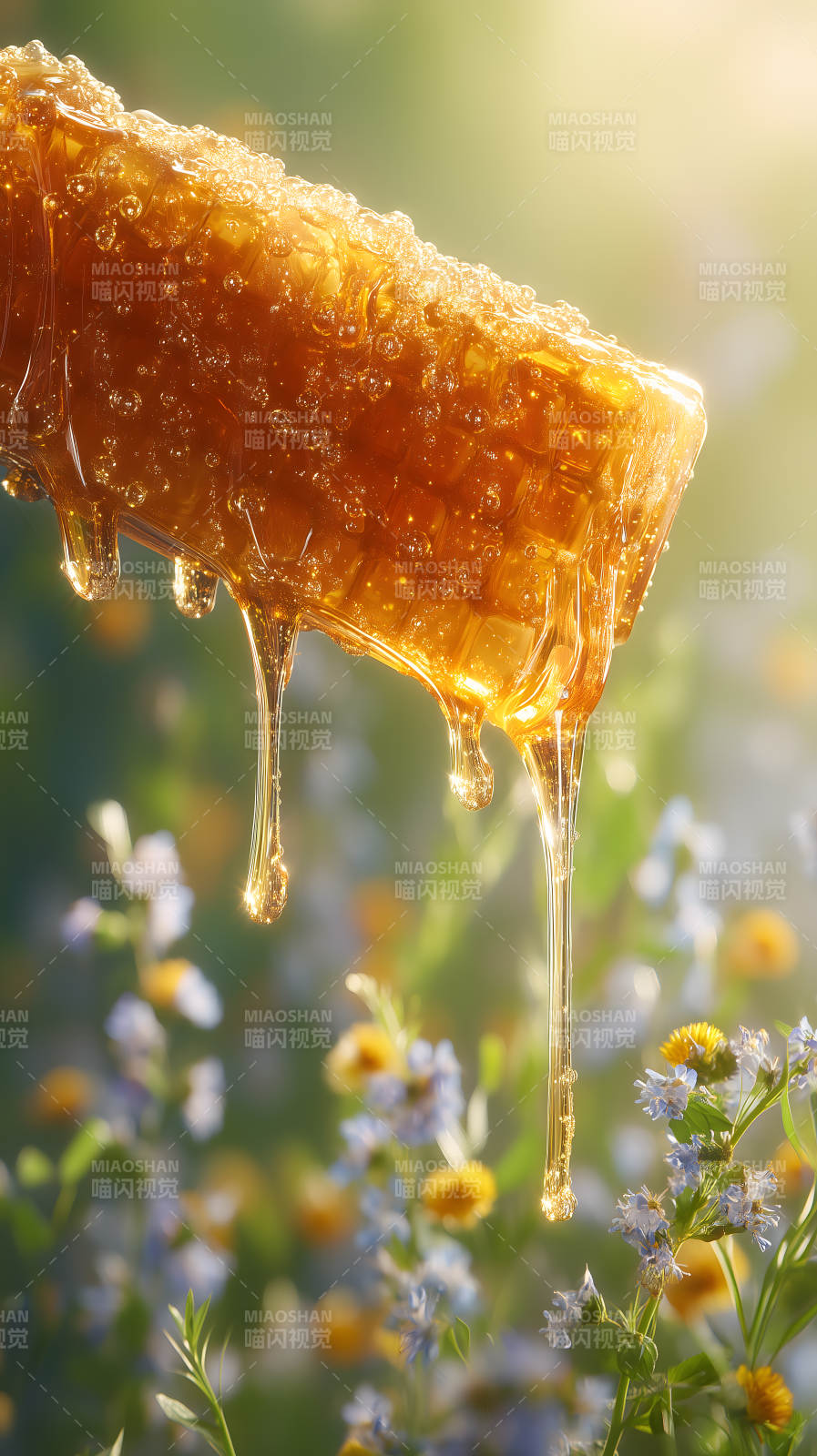 蜂蜜流淌花叢-圖片