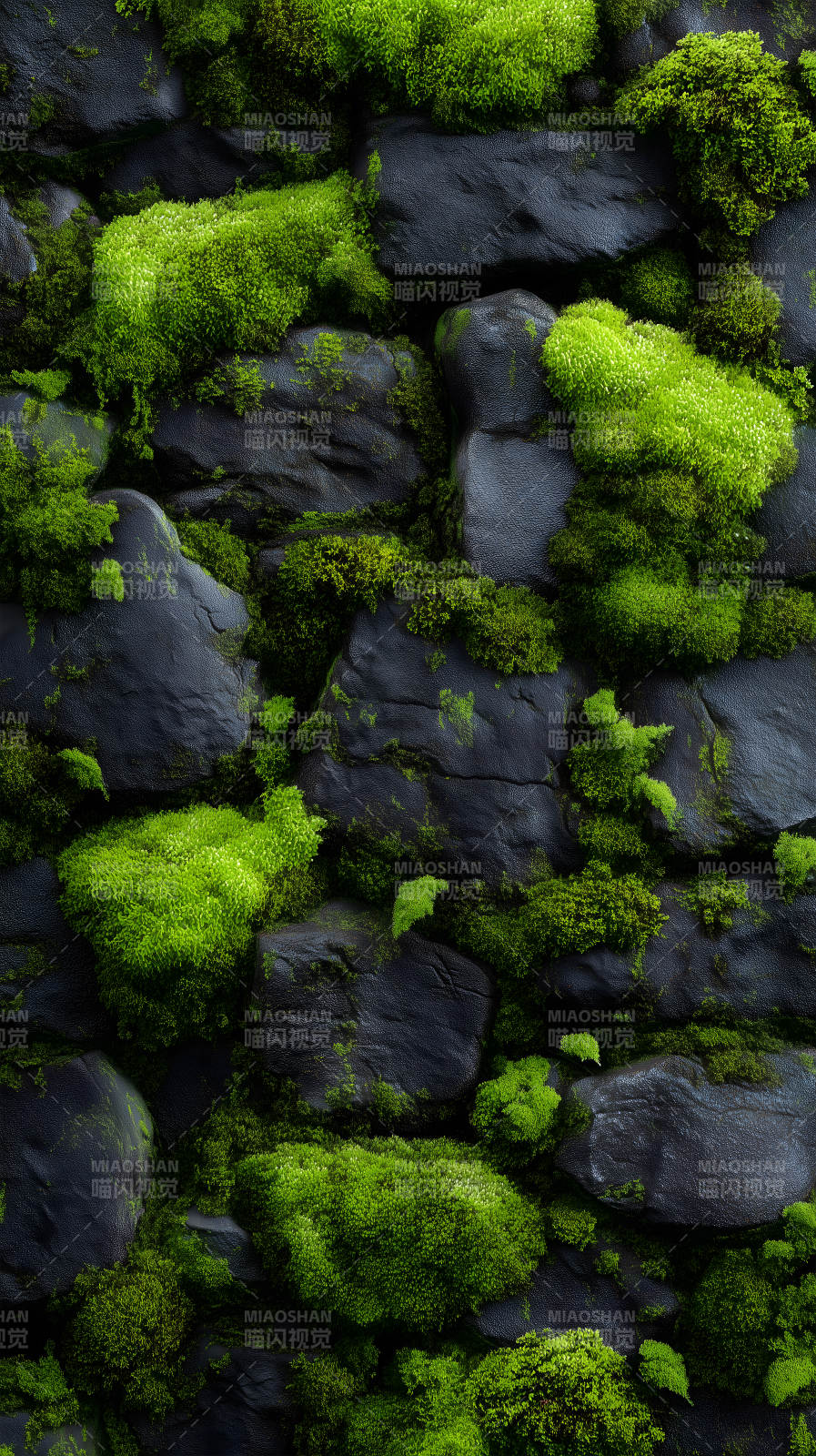 石頭綠植生機勃勃-圖片