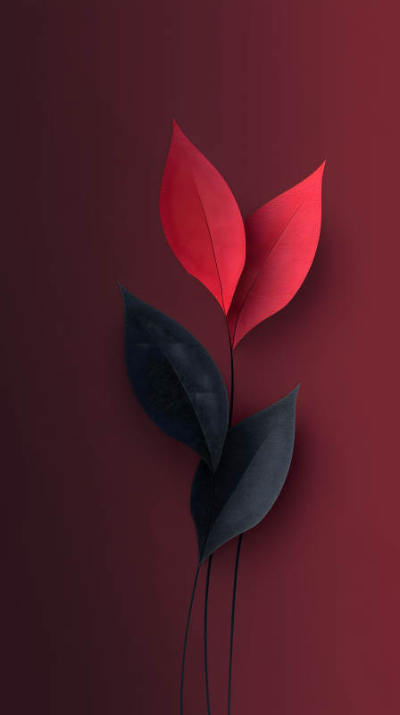 红黑叶片抽象艺术-图片