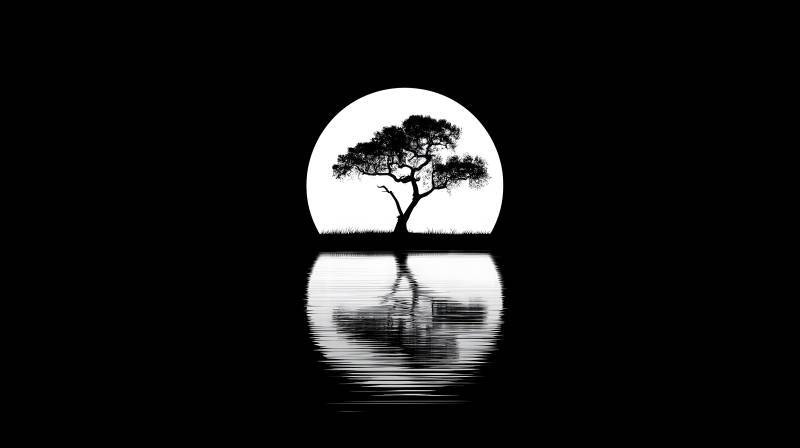 树月水倒影黑白风光-图片