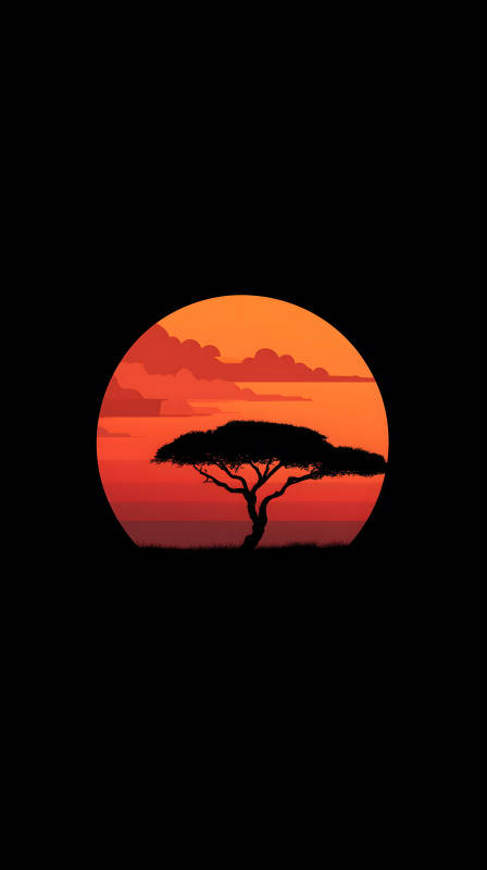 非洲日落剪影树木风景-图片