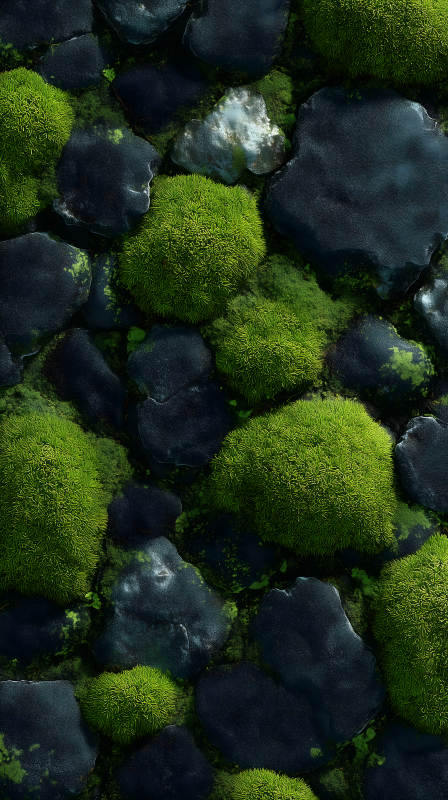 青苔岩石纹理细节-图片