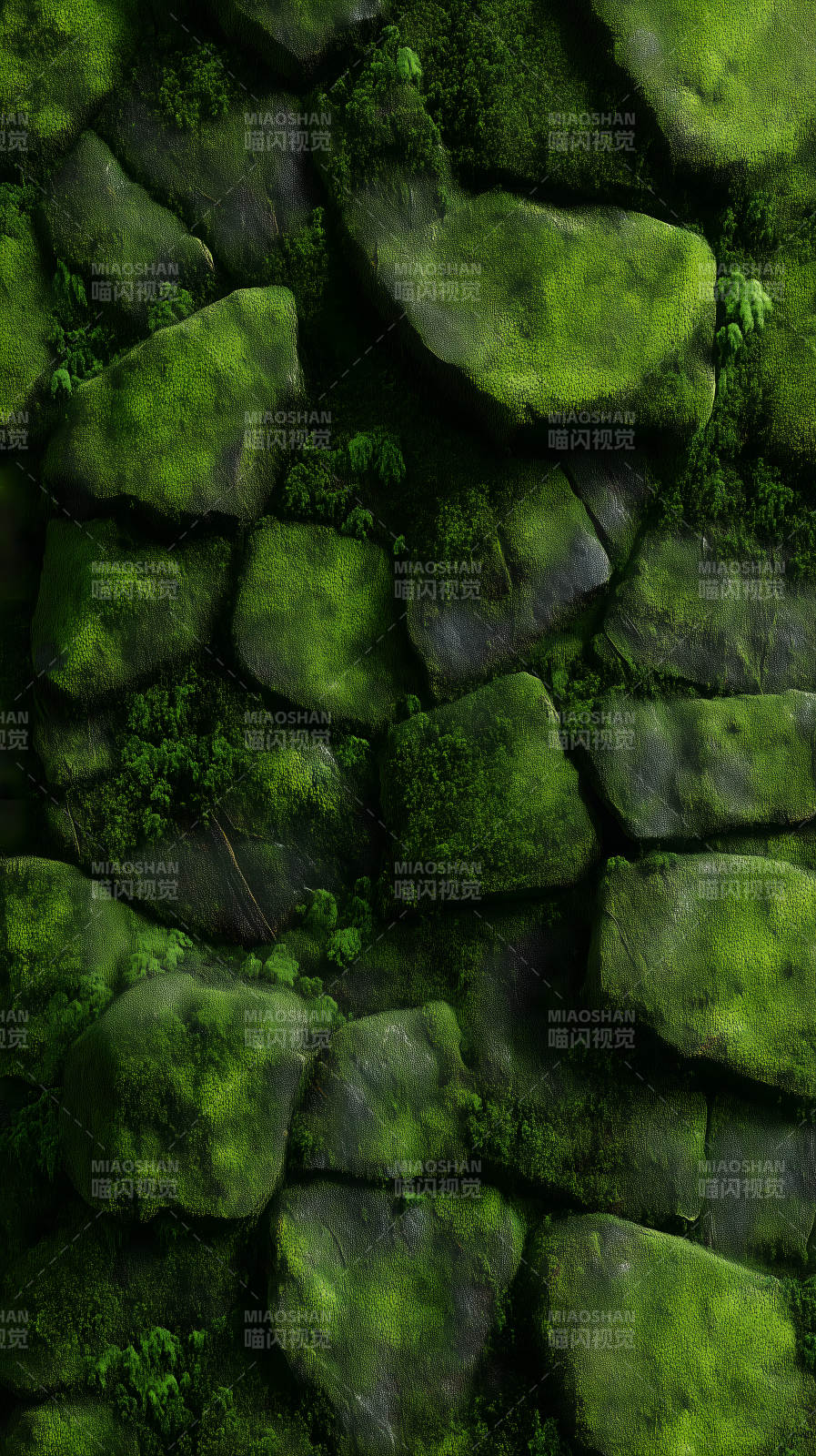 苔蘚覆蓋的石頭墻-圖片