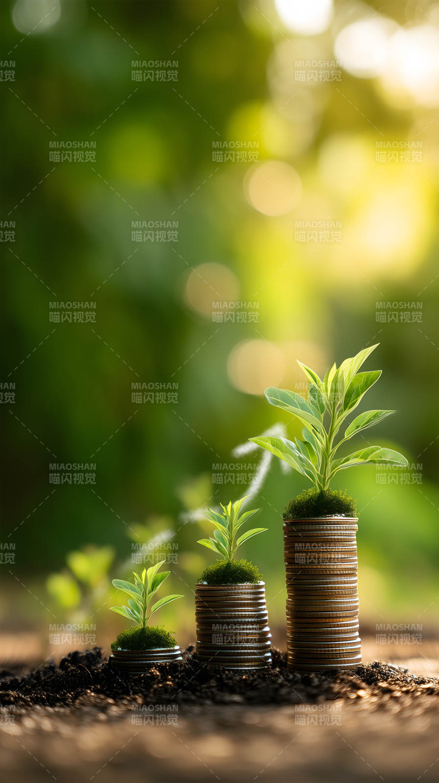 金钱与绿植的生长-图片