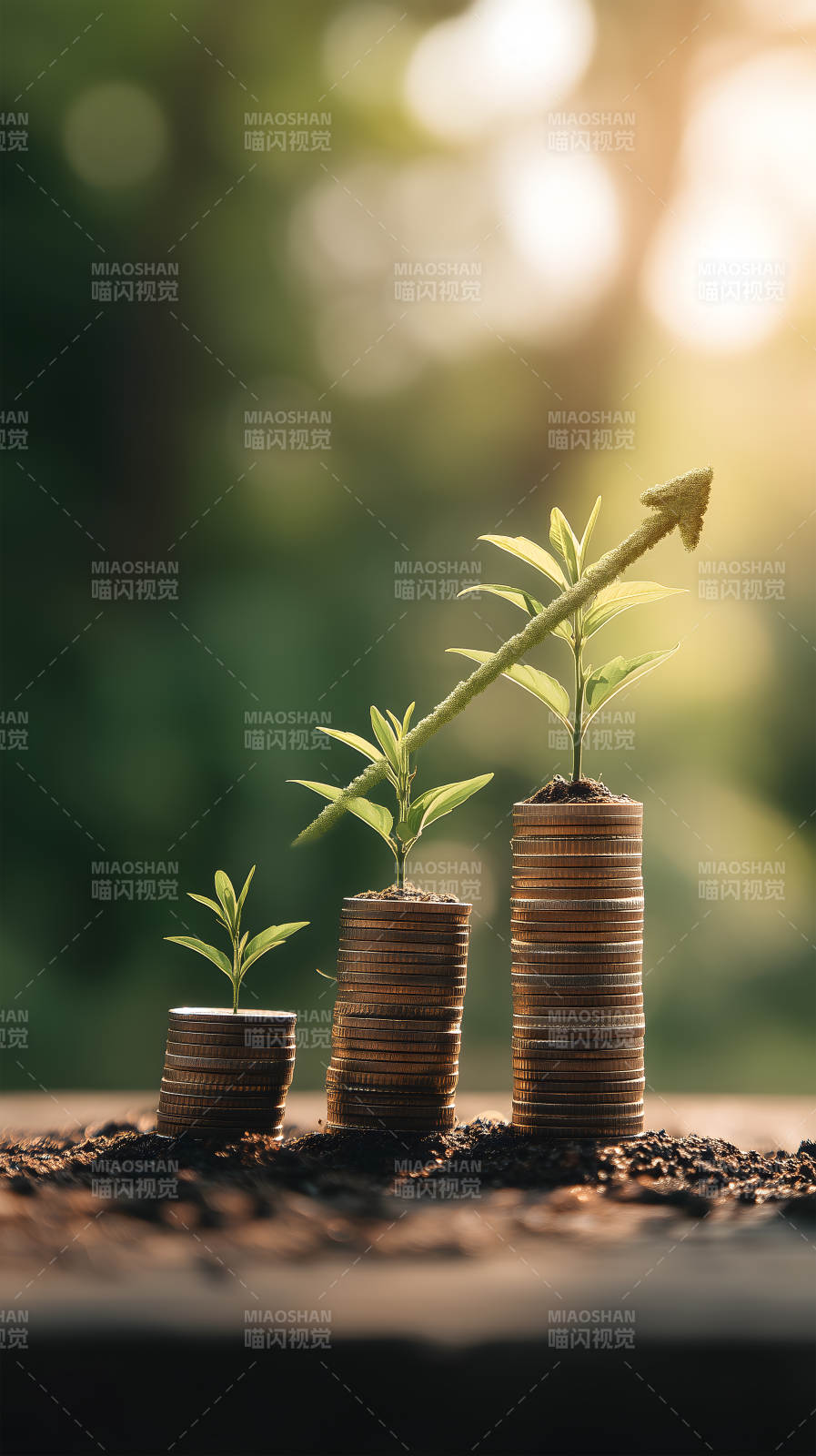 硬幣增長發展向上箭頭-圖片