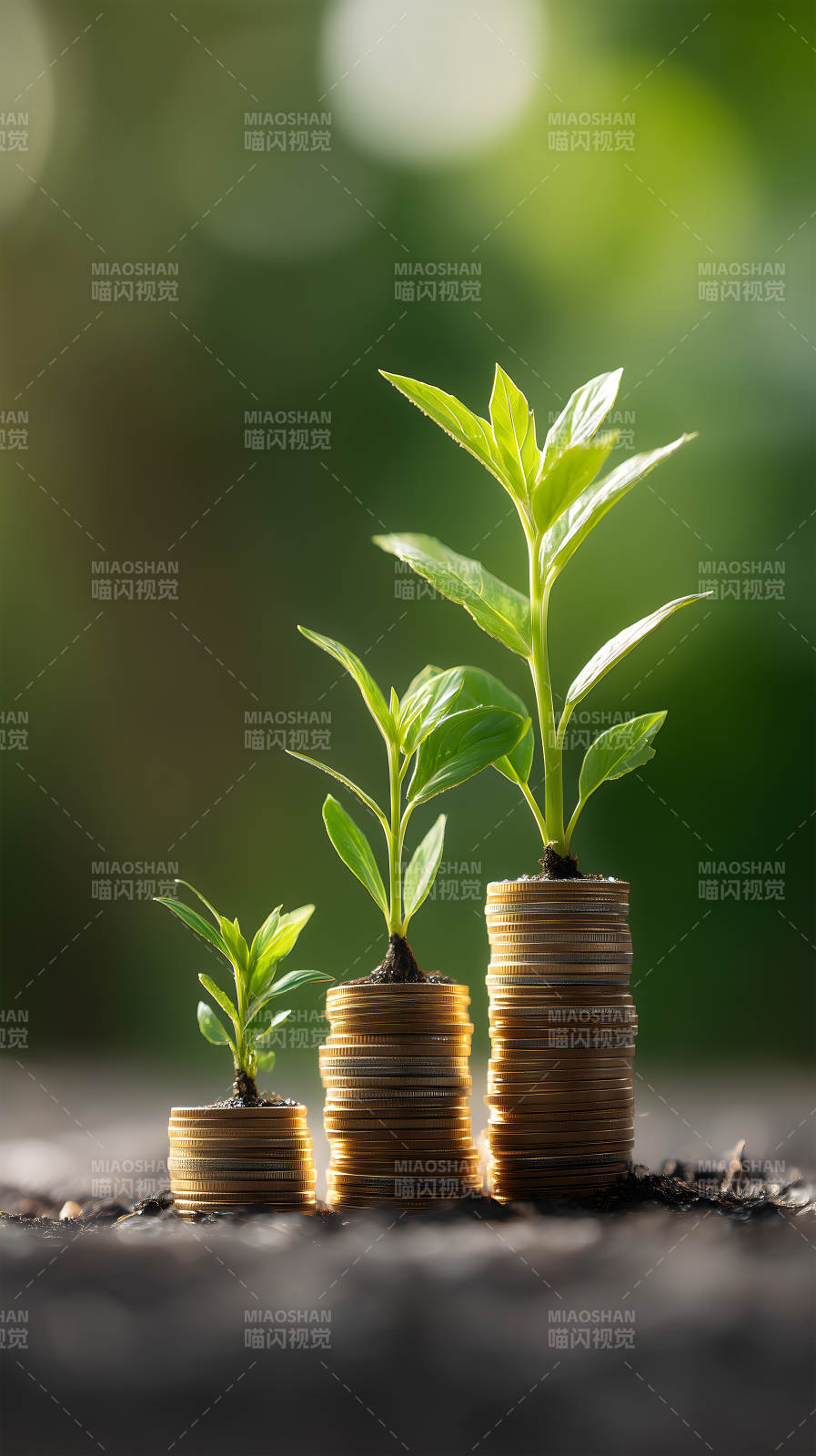 硬币上的绿植生长-图片