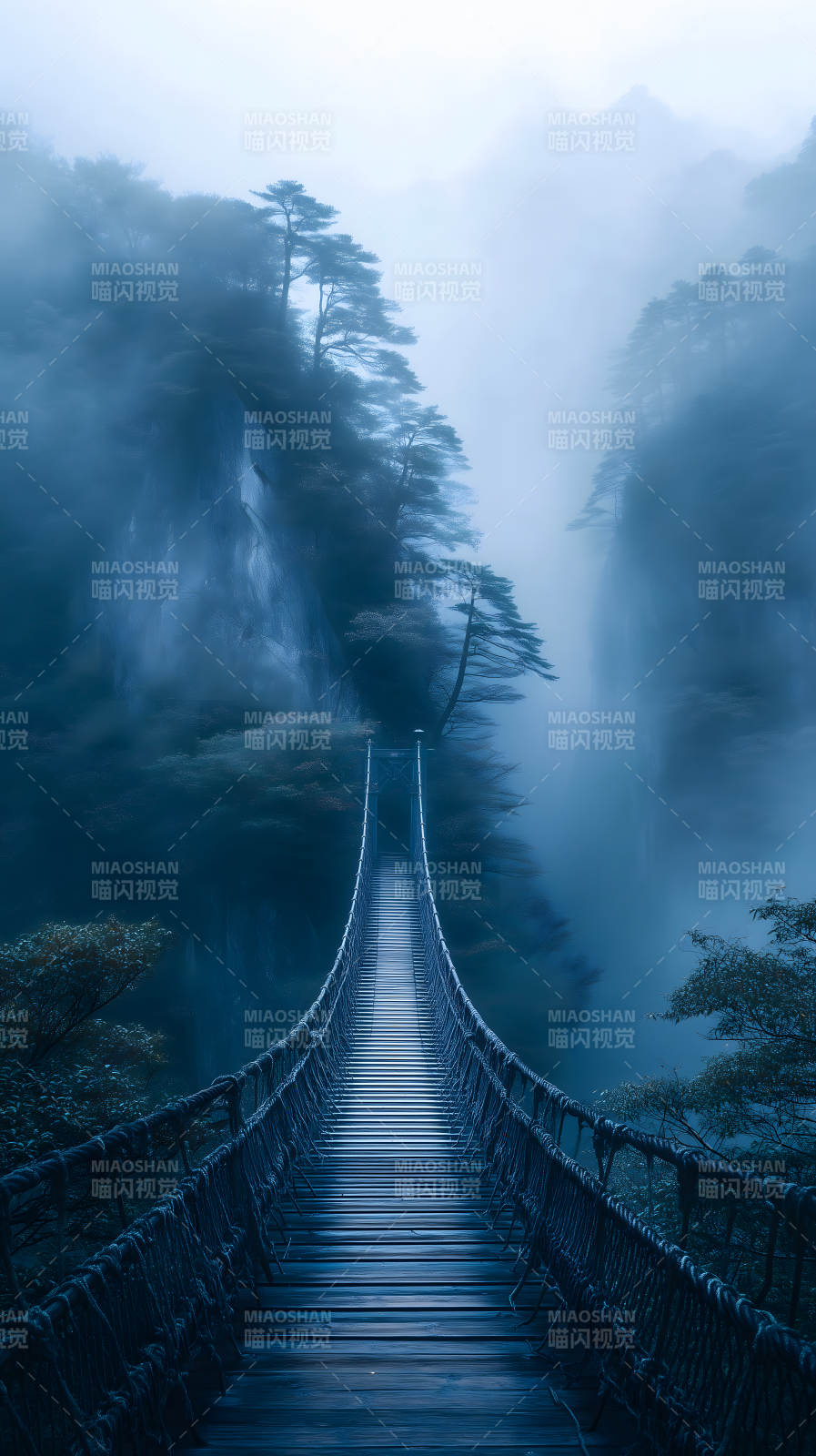 云霧山間懸索橋-圖片