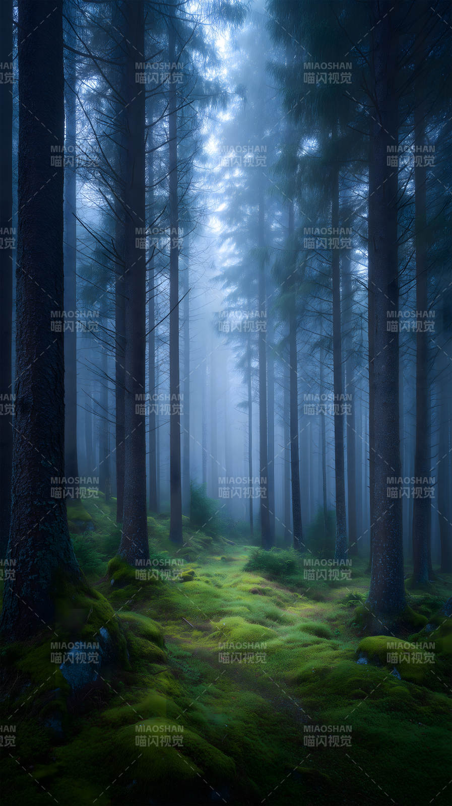 迷霧森林幽靜深邃-圖片