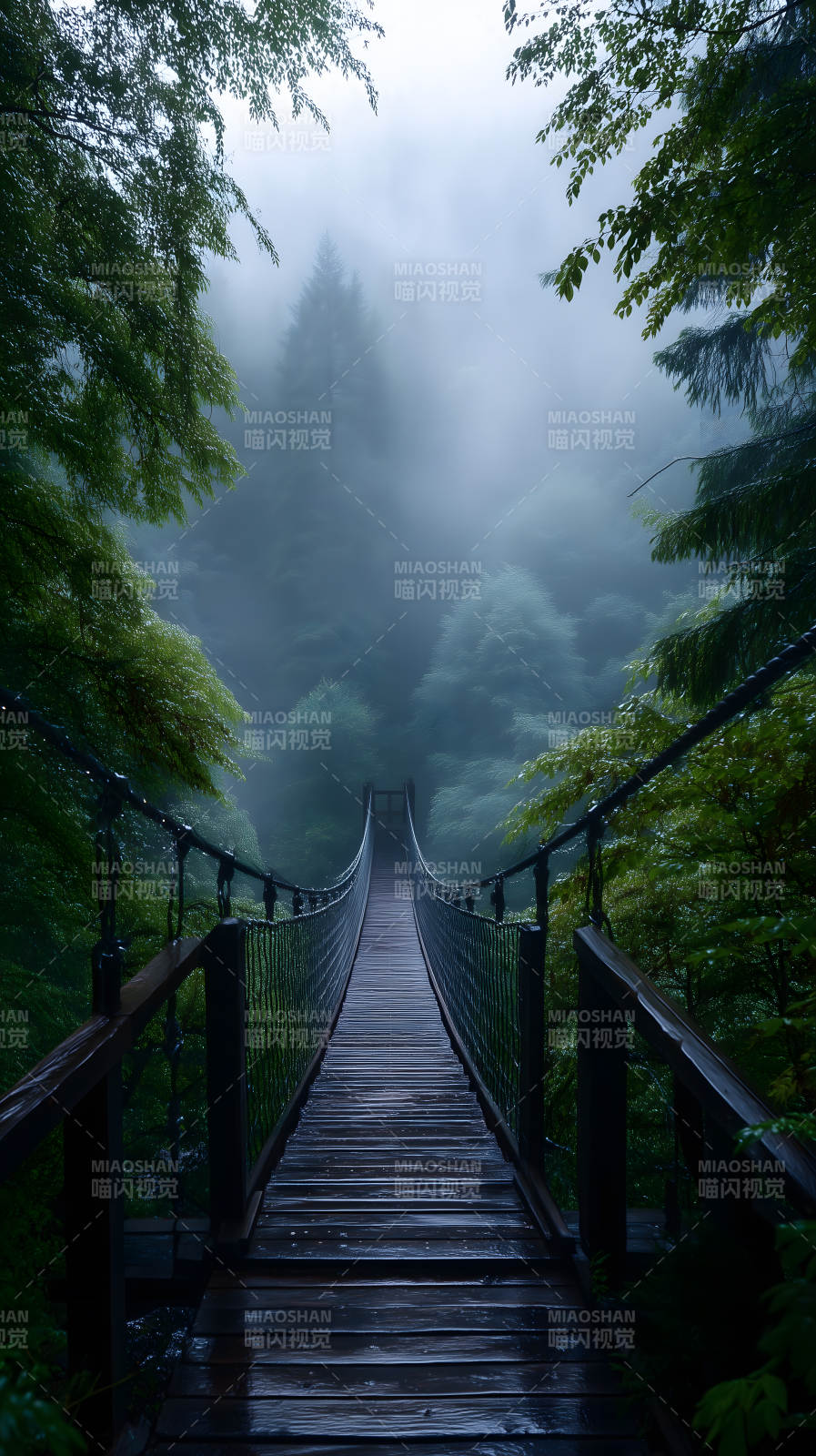 雨中吊桥通往迷雾森林-图片