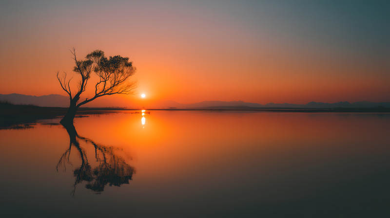 夕阳湖泊树影婆娑-图片