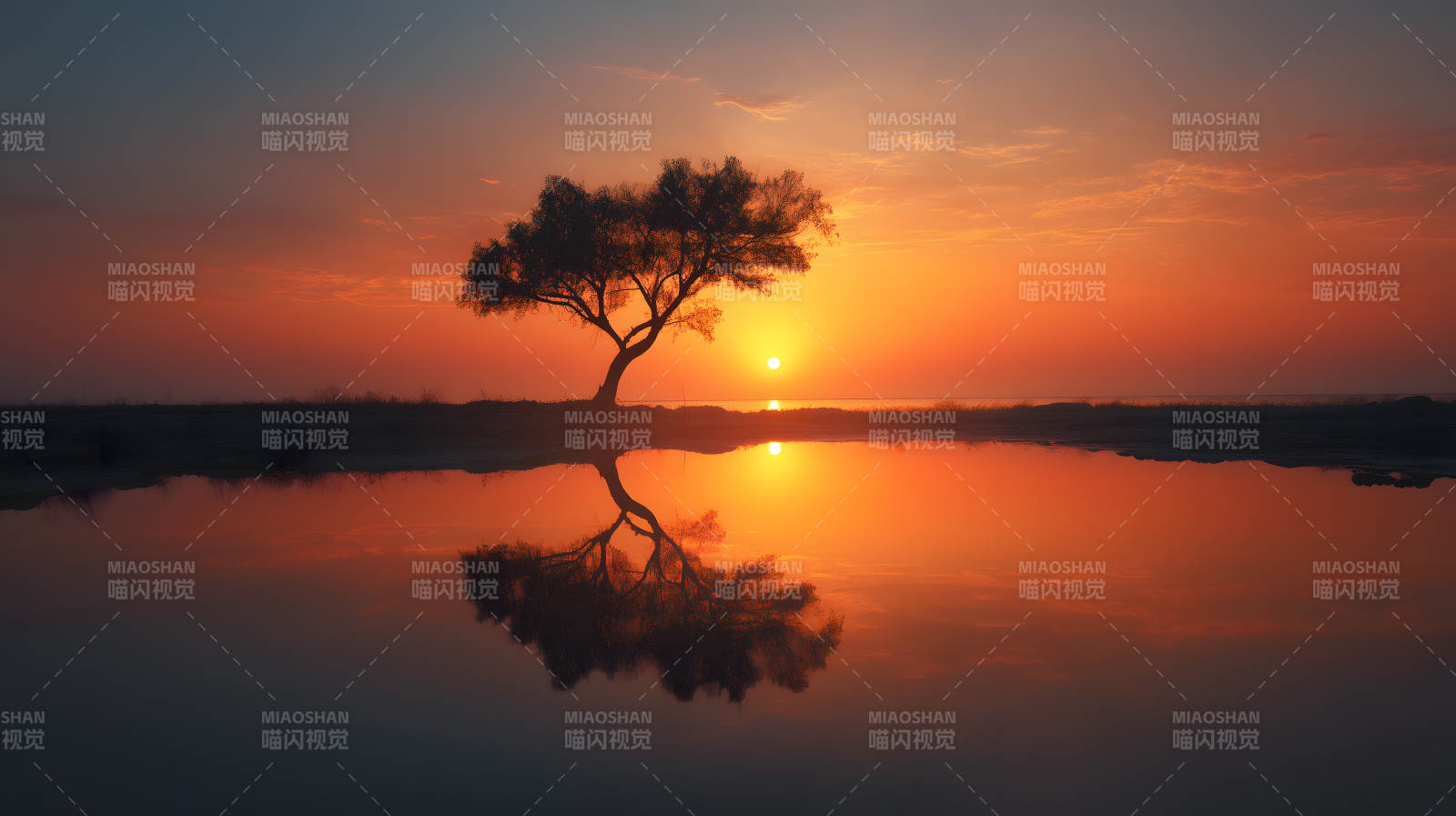 夕阳下的树与水面倒影-图片