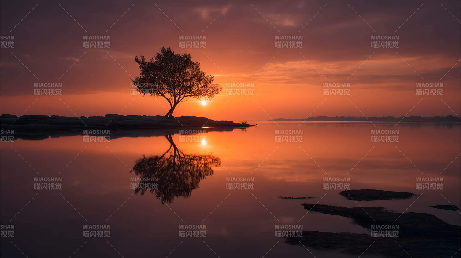 落日孤树湖面倒影-图片