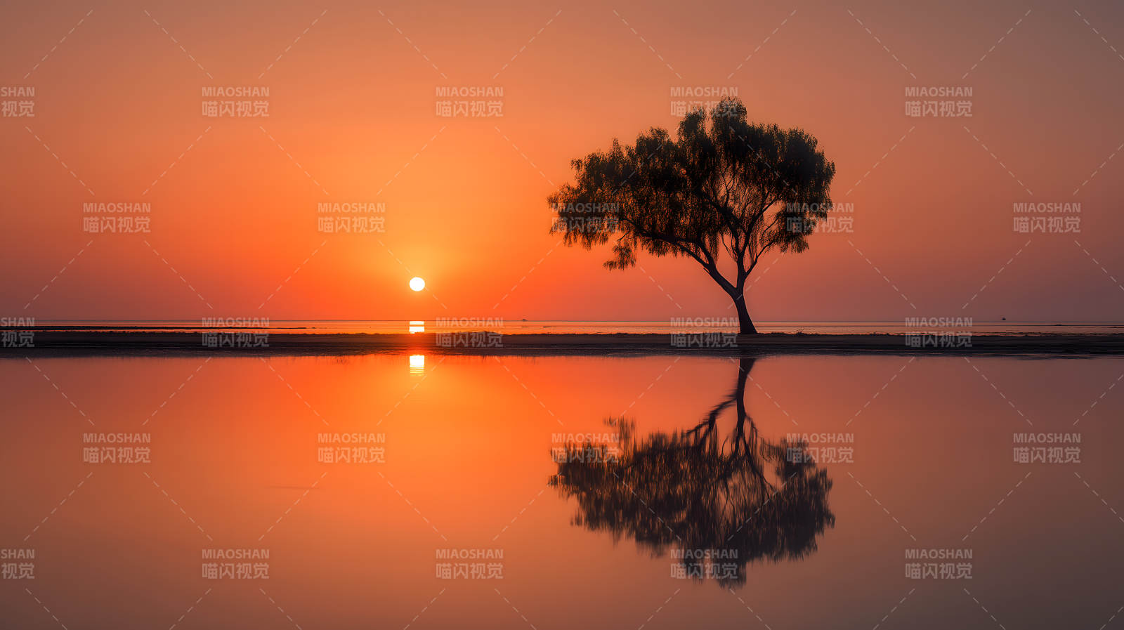 日落下的树影映照-图片