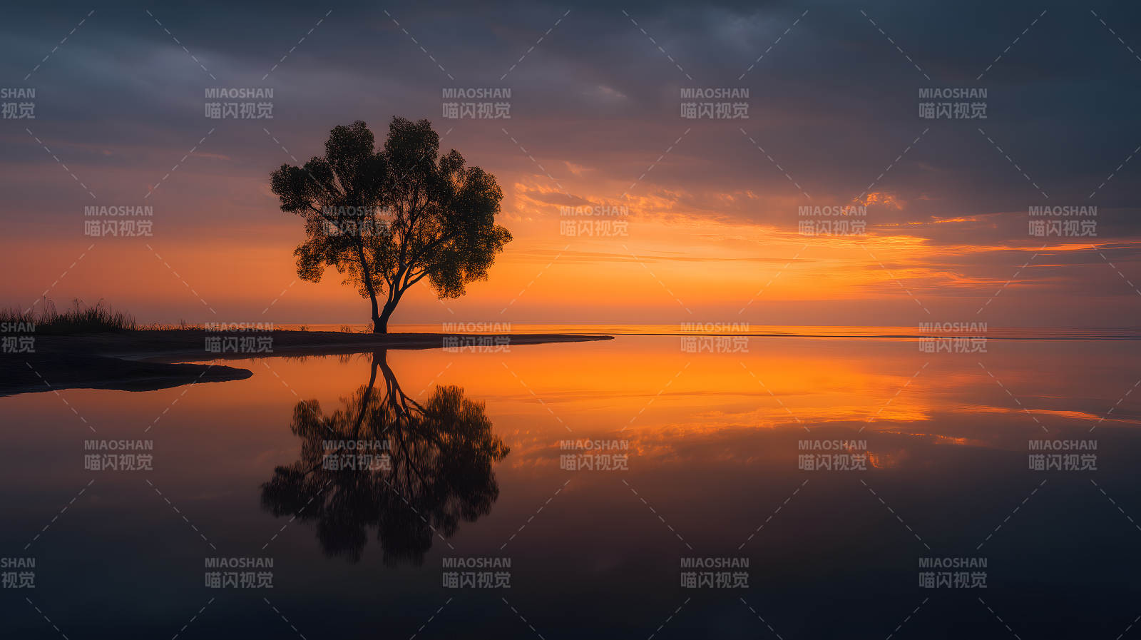 夕阳树影湖面美景-图片