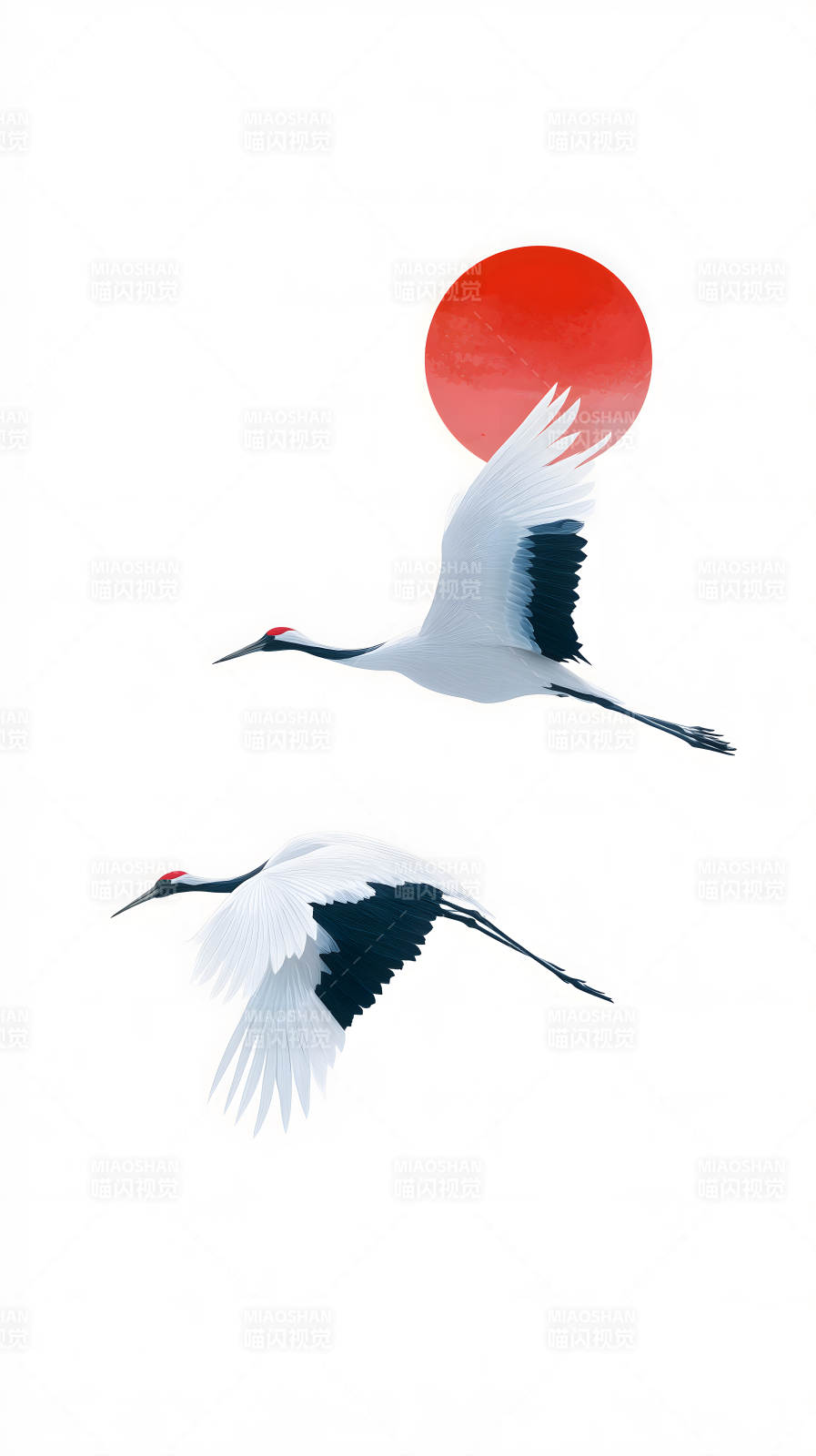 仙鹤飞翔红日-图片
