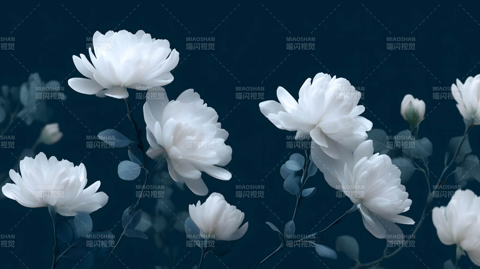 白色花朵深蓝色背景-图片