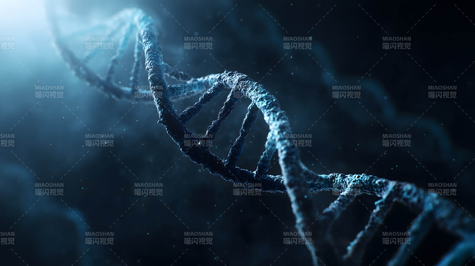 DNA双螺旋结构-图片