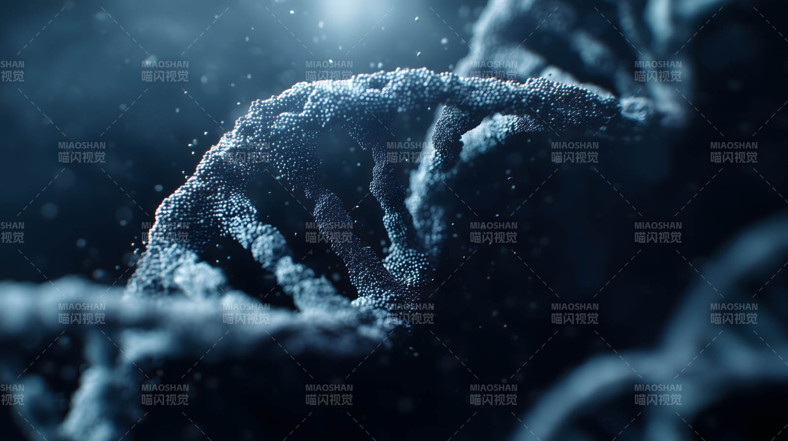 DNA螺旋結構特寫-圖片