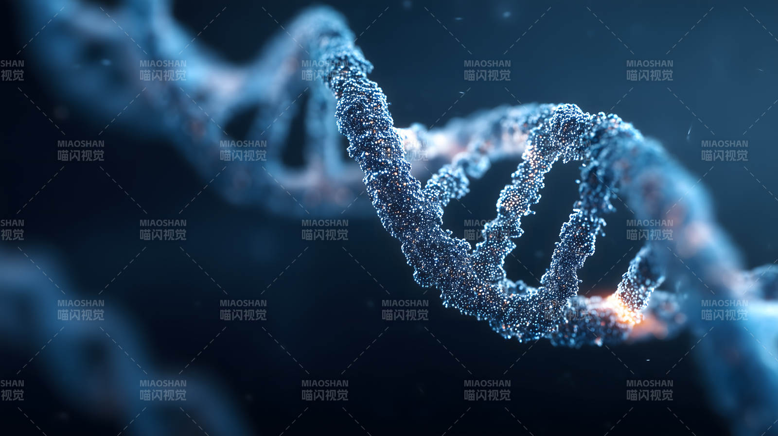 DNA分子结构特写-图片