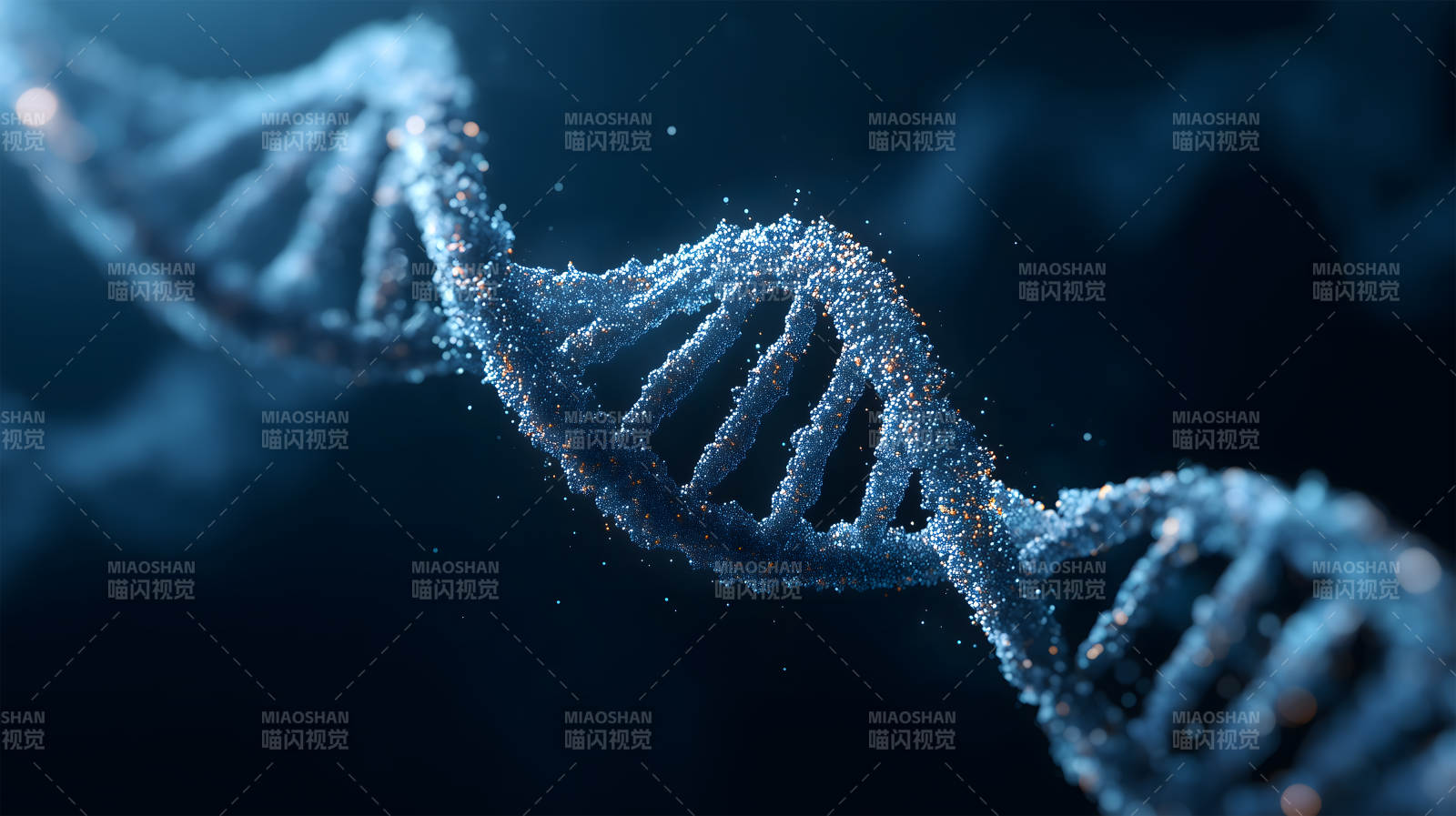 DNA螺旋结构特写-图片