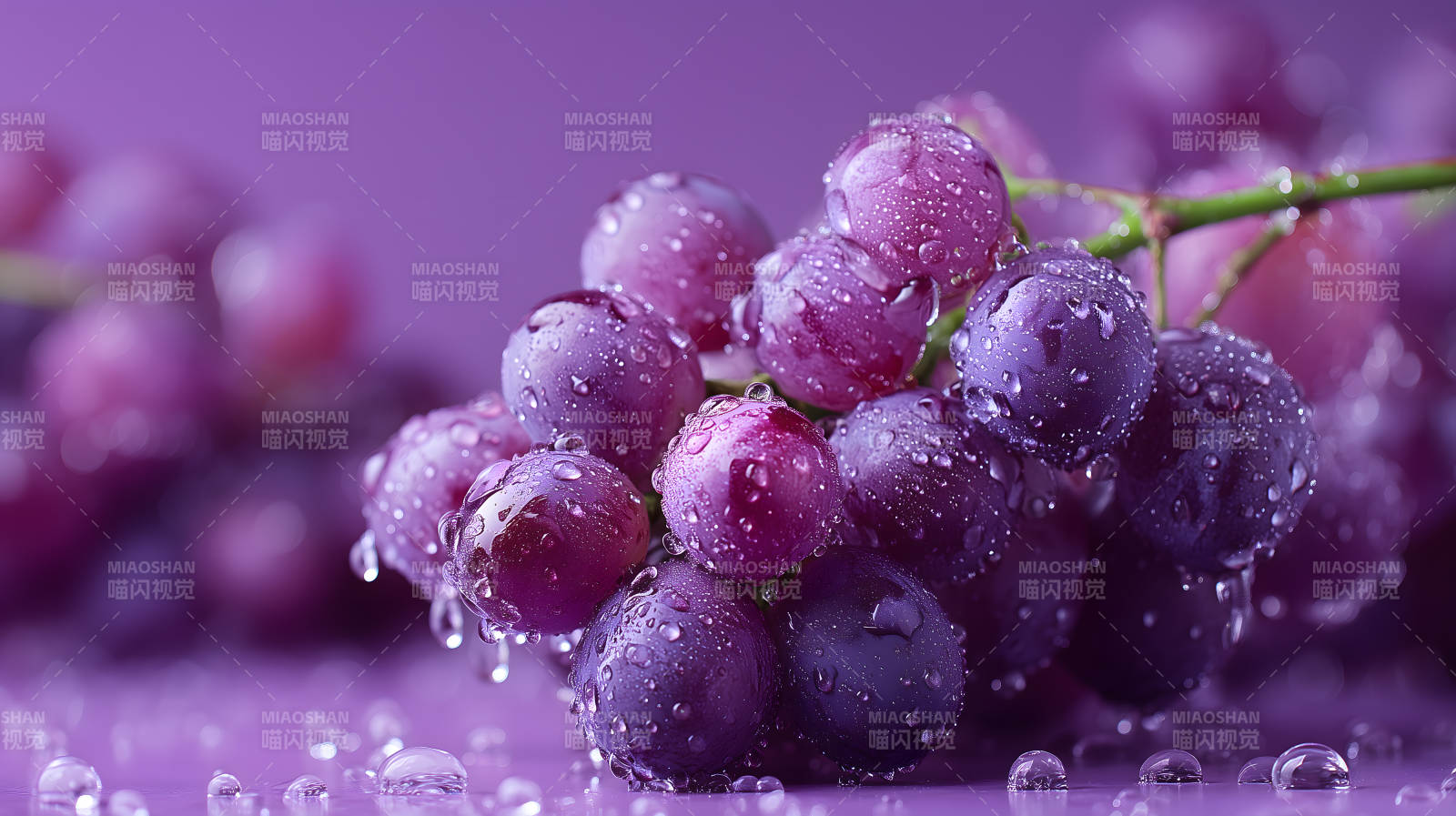 紫葡萄水珠特写-图片