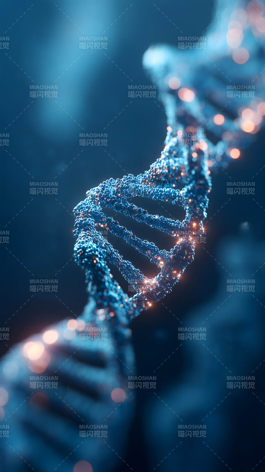 DNA雙螺旋結構特寫-圖片