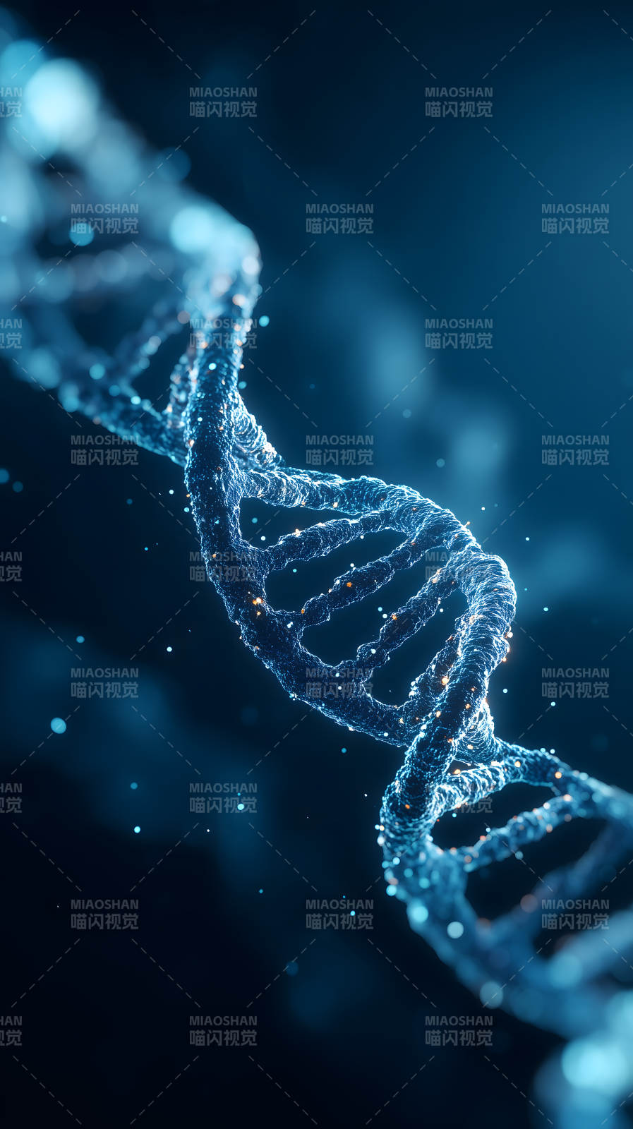 DNA螺旋結構解析-圖片