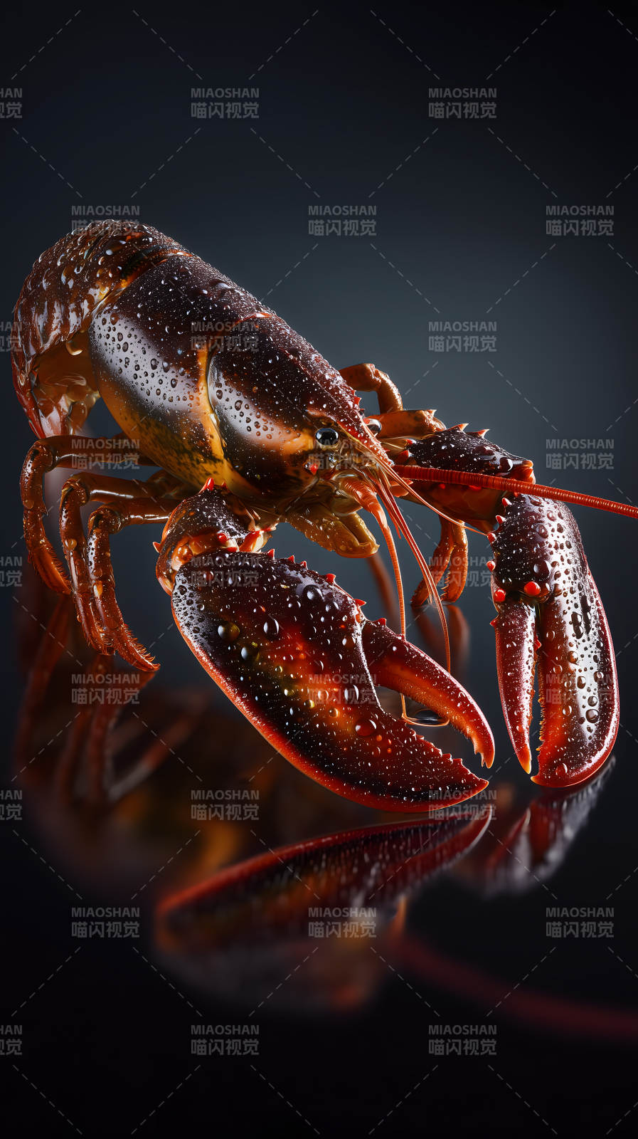 水滴龙虾特写美食-图片