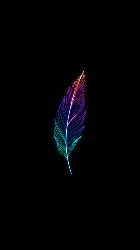 霓虹羽毛黑色背景-圖片