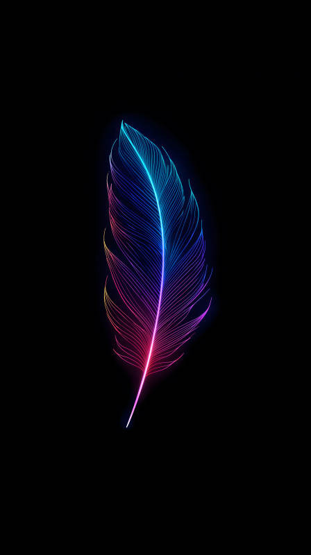 發光的羽毛在黑色背景上-圖片