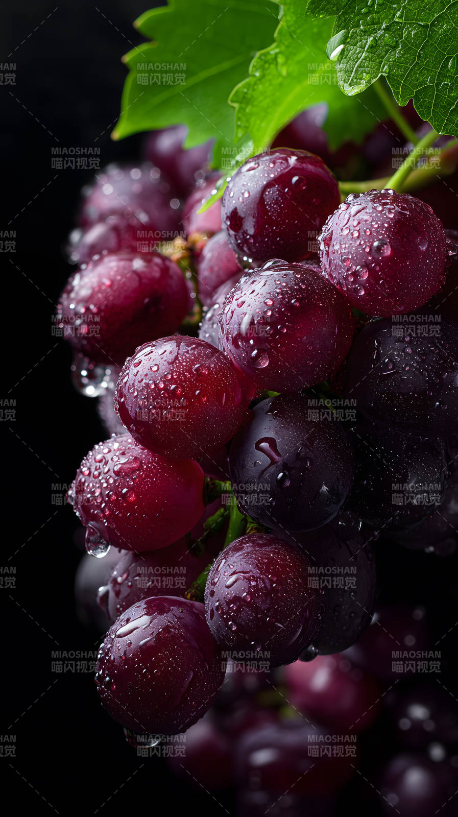 紅葡萄特寫水珠晶瑩-圖片