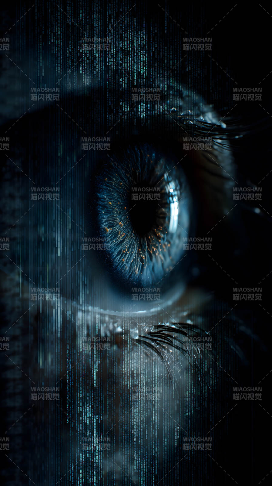 蓝眼数据矩阵-图片