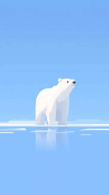 北極熊凝望遠方-圖片