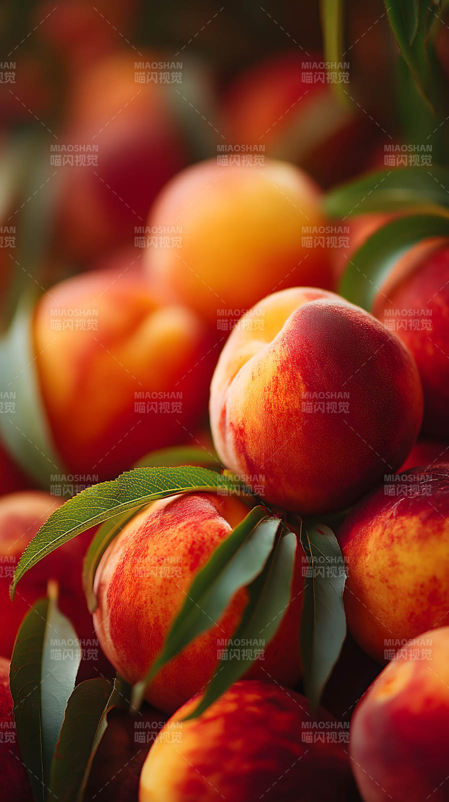 新鲜饱满的桃子特写-图片