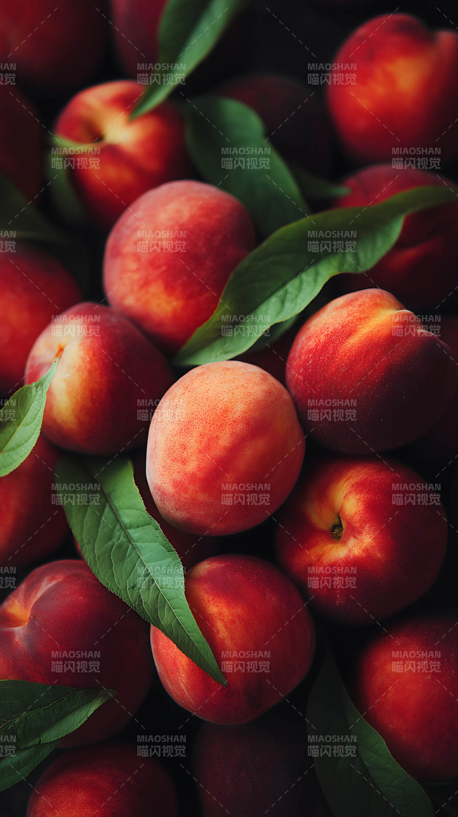 饱满红润的蜜桃特写-图片