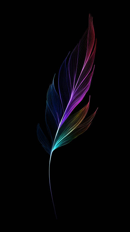 彩虹羽毛黑色背景-圖片
