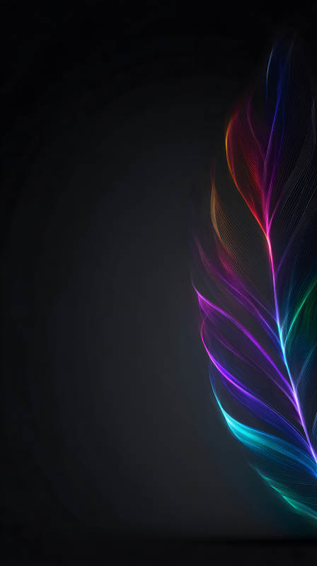 炫彩羽毛绽放光芒-图片