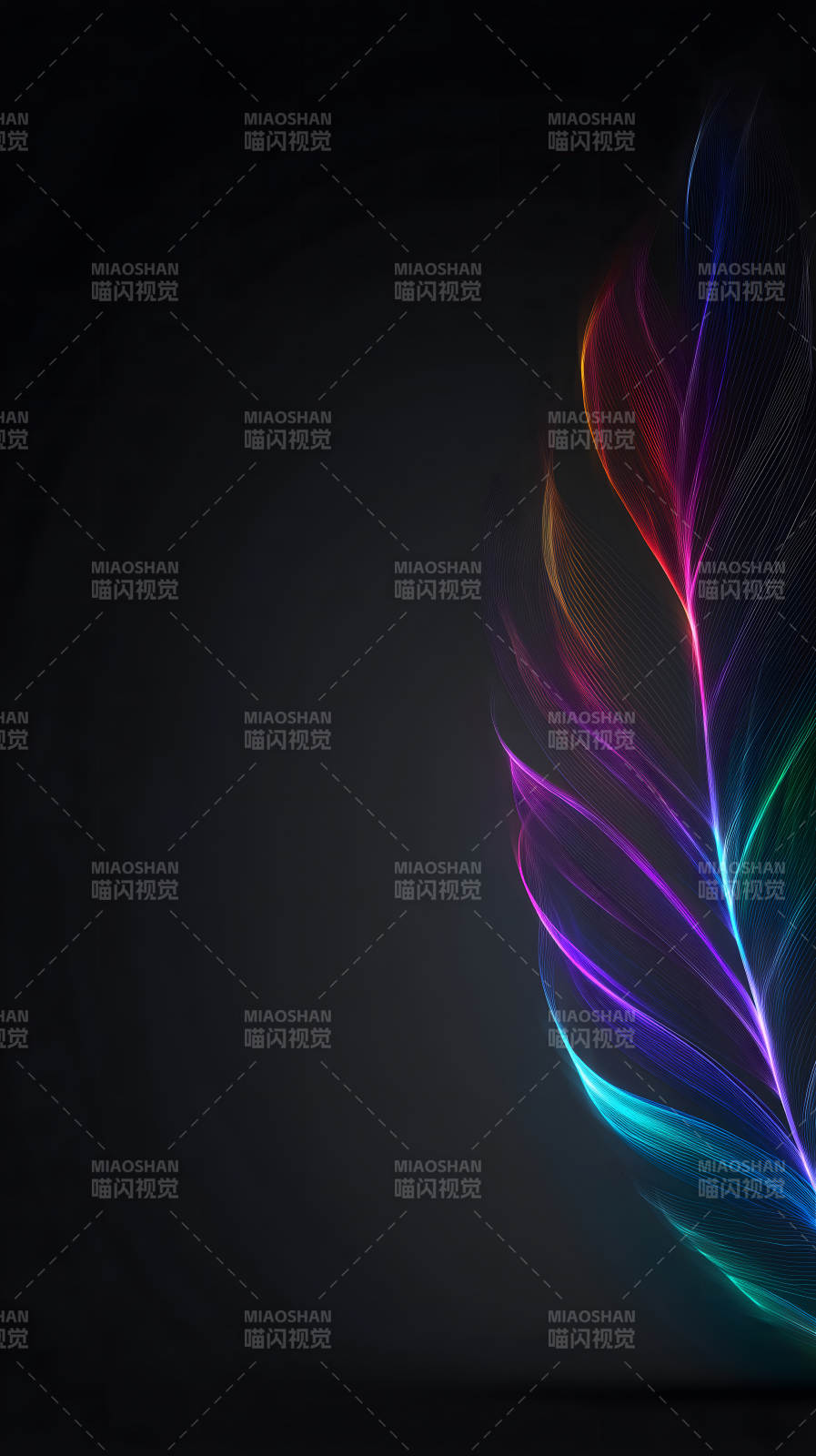 炫彩羽毛绽放光芒-图片