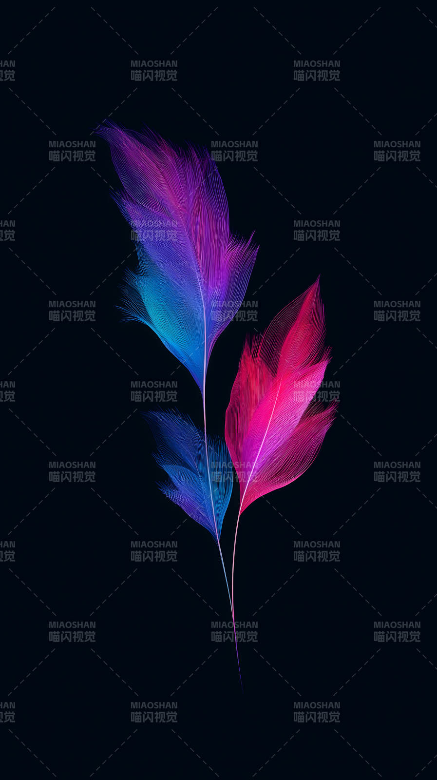 羽毛绚丽绽放光彩-图片