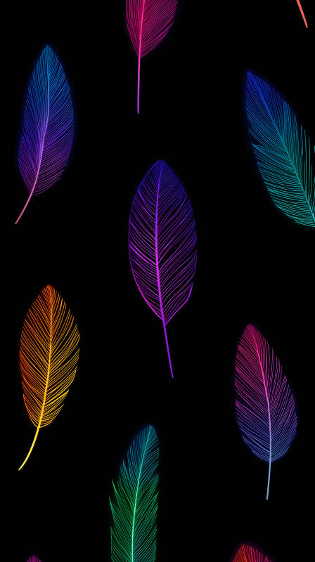 彩色羽毛图案-图片