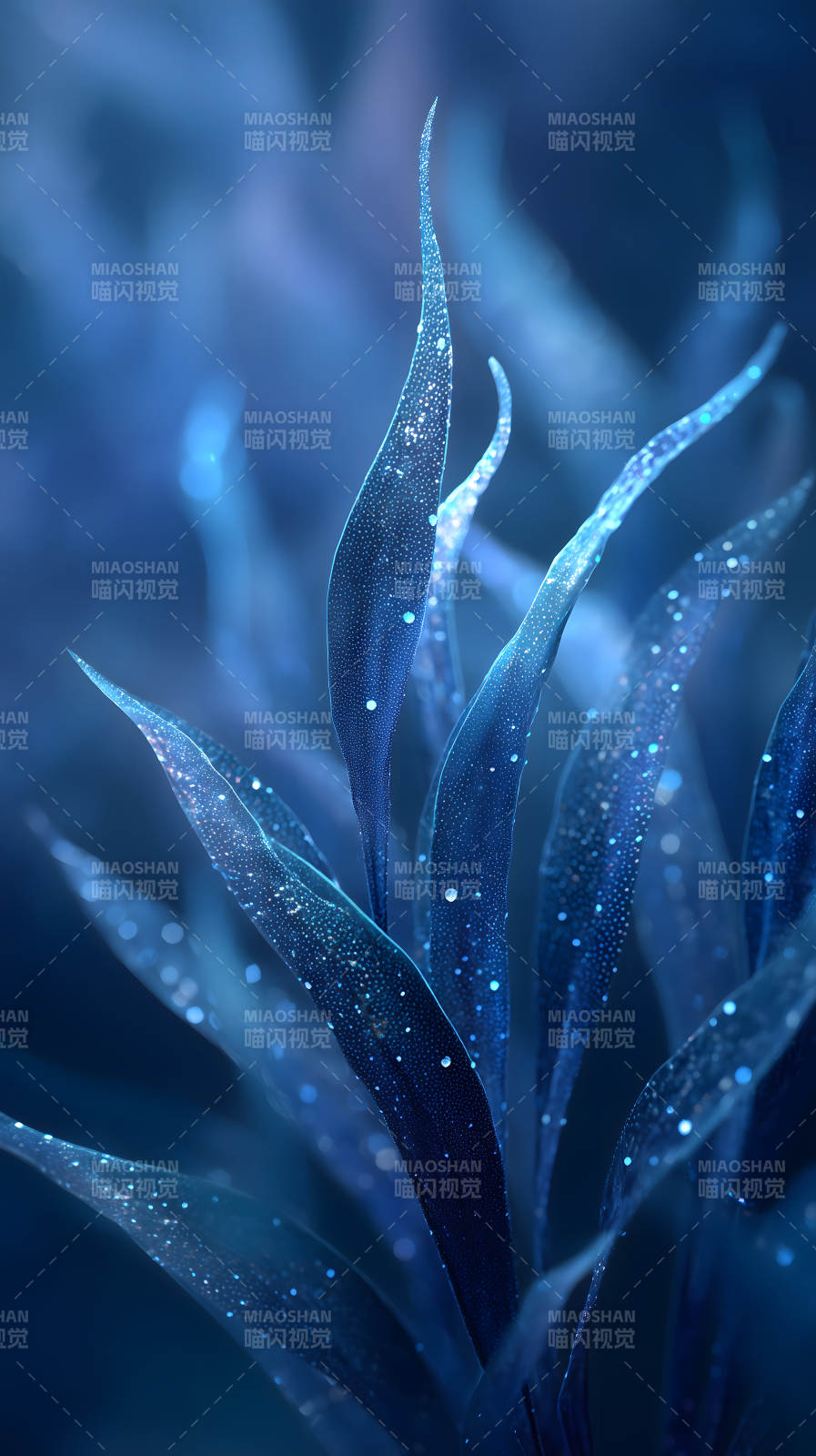 藍色發光植物特寫-圖片