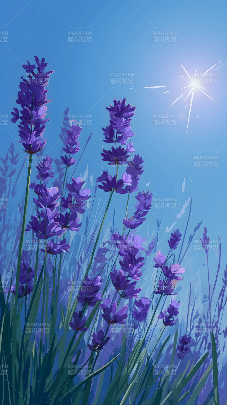 薰衣草盛開天空明媚-圖片