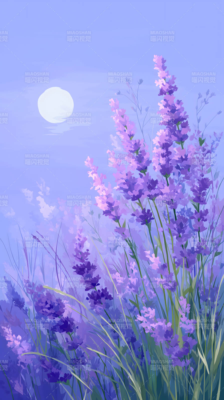 薰衣草月夜靜謐美好-圖片