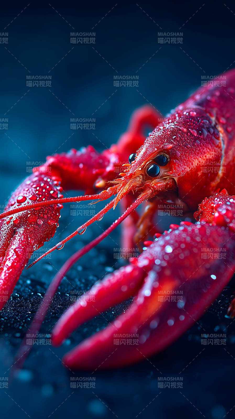 紅潤龍蝦細節特寫-圖片