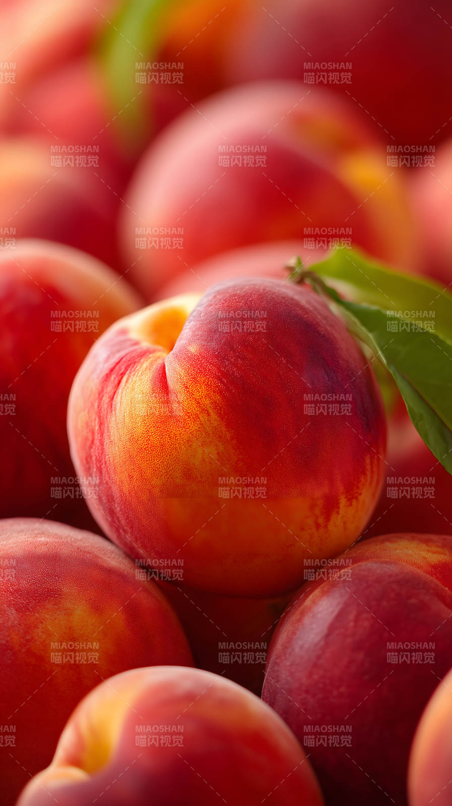 鮮艷的桃子特寫-圖片