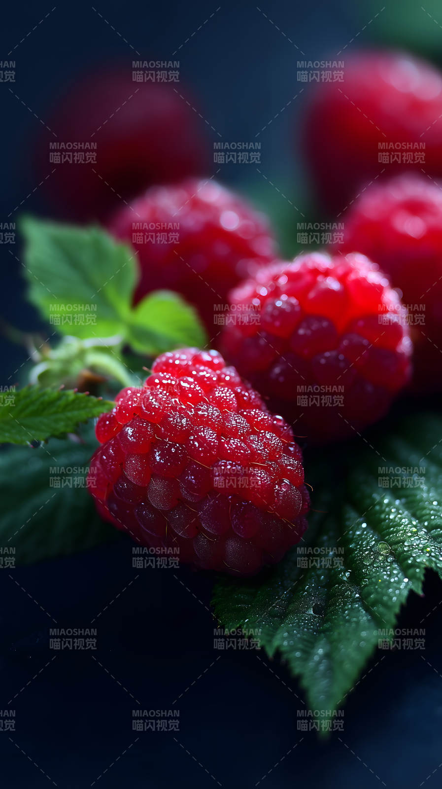 鮮艷欲滴的覆盆子特寫-圖片