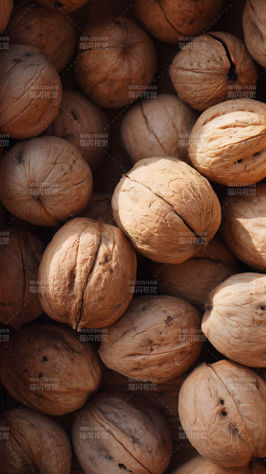 一堆坚果特写-图片