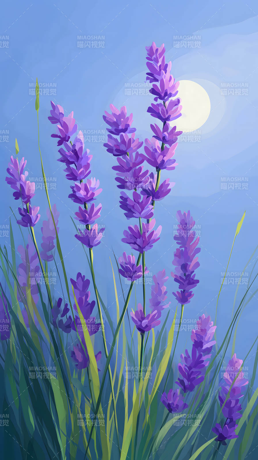 薰衣草与阳光的画面-图片