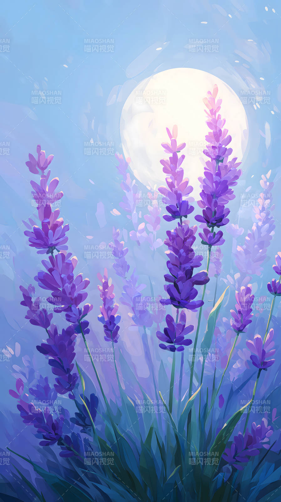 薰衣草花海月光-圖片